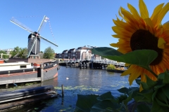 Leiden 02