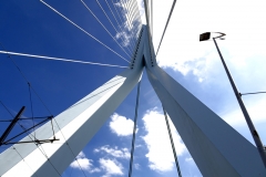 Rotterdam 21