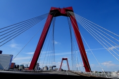 Rotterdam 22